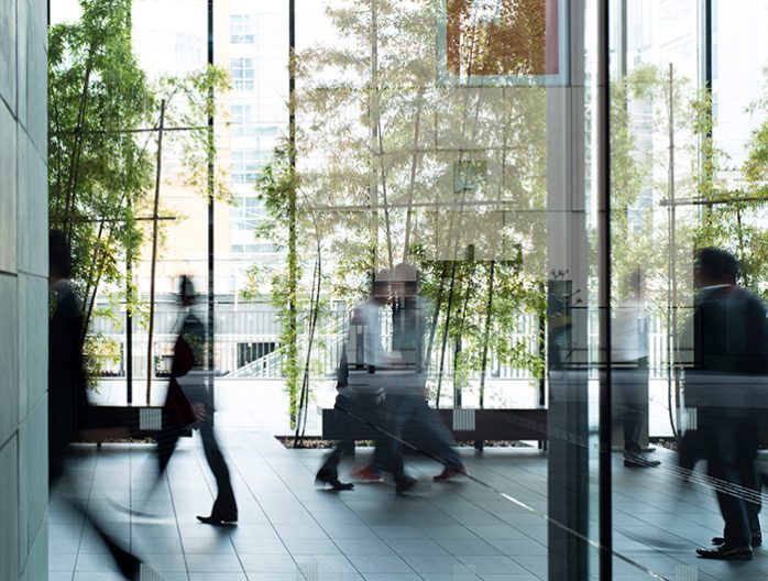 Office Expansions - Plesi